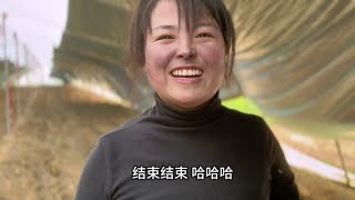 90后小夫妻回家过年，没想到回家还待干活，犁地撒化肥