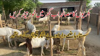 Masala Formula For Goats || Make Masala For your Goats in Home || Goat Masala Recipe | Dr Noman Ali