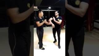 念一詠春武術學會-基本手法 Basic Hand Drills by OMVT