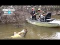 Murray Cod Fishing in the Edwards