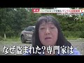 【独自】ハンドルロック対策も…ランクル盗難の瞬間 都内住宅街でロック切断？【めざまし８ニュース】