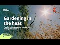 Gardening in the heat | #GoodGrowing