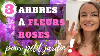 3 ARBRES à FLEURS ROSES idéaux pour PETIT JARDIN !