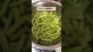 【春の保存食】ふきの佃煮(きゃらぶき)  昨年の山椒の三升漬けで作りました。　#shorts #発酵料理 ＃ふきの佃煮