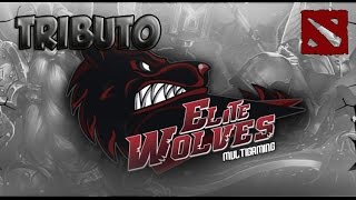 Tributo a ELITE WOLVES | Dota 2