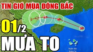 Dự báo thời tiết hôm nay và ngày mai 1/2/2025 | Dự báo thời tiết trong 3 ngày tới