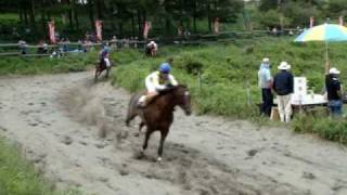 高ボッチ高原 第57回観光草競馬大会♪ その7、最終ﾚｰｽ編