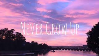 Taylor Swift - Never Grow Up (Taylor's Version) (lyrics)