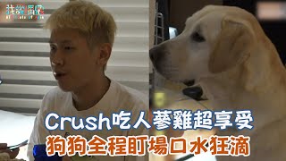 【我獨自生活】Crush吃人蔘雞超享受 狗狗全程盯場口水狂滴