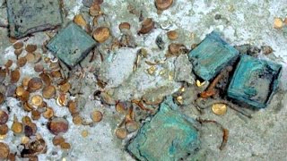 Fugitive treasure hunter wanted for fraud arrested