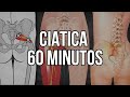 Rutina de EJERCICIOS para la CIATICA - HAZ LOS EJERCICIOS CONMIGO DURANTE 1 HORA