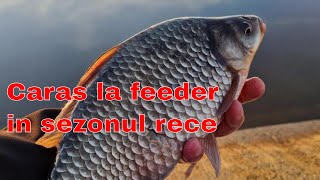 Caras la Feeder in sezonul rece