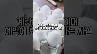 ‘이것’ 꾸준히 먹으면 알츠하이머 예방된다