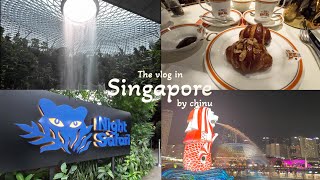 【シンガポールvlog】4泊5日ふたり旅 #1🇸🇬 王道観光地巡りへ！マーライオン | ナイトサファリ | ムスタファセンター | BACHA COFFEE