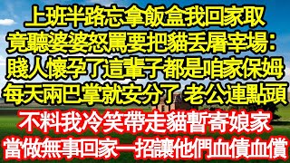 上班半路忘拿飯盒我回家取，竟聽婆婆怒罵要把貓丟屠宰場：賤人懷孕了這輩子都是咱家保姆，每天兩巴掌就安分了 老公連點頭，不料我冷笑帶走貓暫寄娘家真情故事會||老年故事||情感需求||愛情||家庭