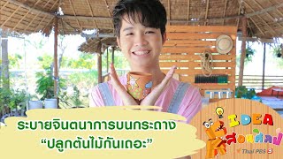 ระบายจินตนาการบนกระถาง “ปลูกต้นไม้กันเถอะ” : ไอเดียสอนศิลป์