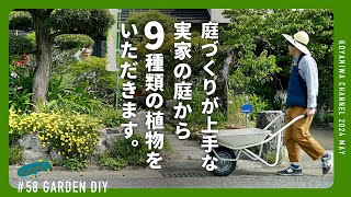 【庭DIY】ガーデニング 庭づくりが上手な実家に行って、両親から9種類の植物をもらう。日陰で育つ植物をもらって庭に植える。