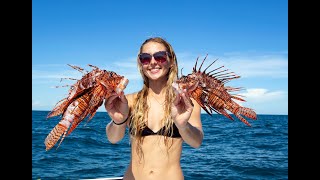 Hunting Invasive LionFish with Kelly Young