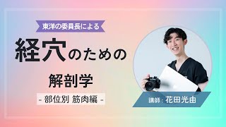 【経穴のための解剖学】肩周囲部の筋肉