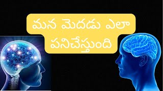 మన మెదడు ఎలా పనిచేస్తుందో తెలుసా _ How the Human BRAIN Works in Telugu _ Brain Power