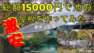 総額15000円で池の屋根を作ってみた！#照チャンネル ＃錦鯉 ＃泳ぐ宝石錦鯉 ＃庭池 ＃アクアリウム ＃ジャパン