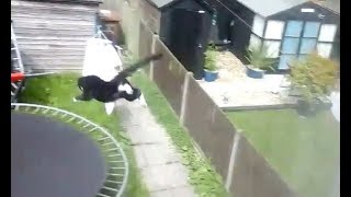 Hilarious Cat Jumps Out Window Onto Trampoline