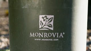 Monrovia Plants Trusts Data Security in Oracle Cloud Applications