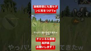 【荒野行動】激戦野原でもみんなセダン大好きw #荒野行動 #ガソスタ検問 #おすすめ #セダン