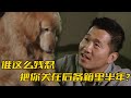 金毛被關在後備箱養了半年，訓犬師前去解救，卻意外牽扯出一段心酸故事