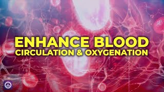 Boost Your Vitality | Enhance Blood Circulation and Oxygenation | Optimal Health and Energy