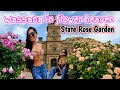 Experience the Beauty of Victoria's State Rose Garden in Full Bloom! Werribee Park Mansion.