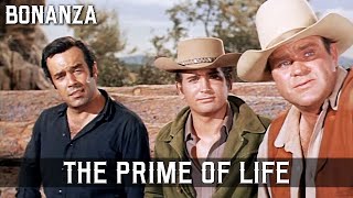 Bonanza - The Prime of Life | Episode 147 | WILD WEST | Best Western Series | Full Length