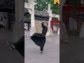 immortality of chinese kung fu creating an invin g13286 中国功夫不朽 铸就无敌风范！ 2023 06 17