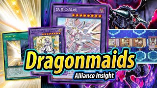 Dragonmaids *NEW FUSION* DECK TESTING | Alliance Insight