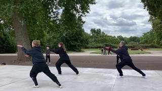 42 Forms Taijiquan