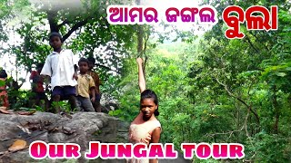 ଆମର ଜଙ୍ଗଲ ବୁଲା || Our Jungal tour.