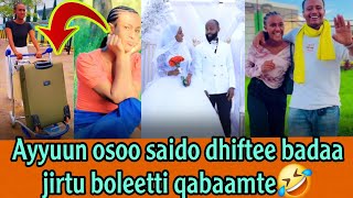 Ayyuun osoo saido dhiftee bada jirtu boleetti qabaamte🤣 kijibaa abdii