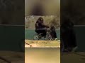 【爆笑衝撃映像】ゴリラが自転車に乗り漕いでる映像　動物　アニマル　可愛い　面白い　猿　short ショート