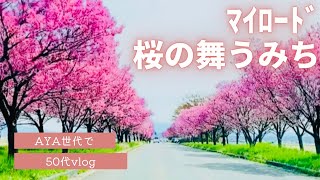 秋葉区覚路津の陽光桜🌸🌸🌸