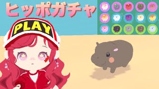 【一緒に遊ぼう】ヒッポガチャ　3回　かわいい　playtogether アプリ