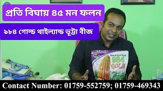 ৯৮৪ গোল্ড || স্পেশাল ভূট্টা বীজ || থাইল্যান্ড||  984 Gold Thailand|| Corn Seed #LtvHD