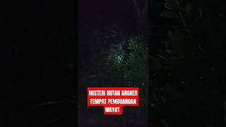 NEKAD MASUK HUTAN ANGKER DI MALAM HARI SENDIRIAN #viral #trending #hutanangker #misteri #angker