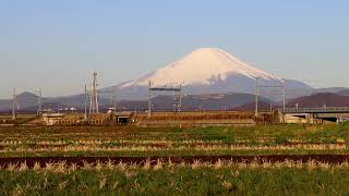 東海道新幹線700系 C54編成 廃車回送 新横浜～小田原間通過