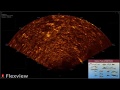 KONGSBERG’s Flexview multibeam sonar (950 to 1400 kHz) detecting fish