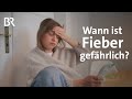 Fieber senken - Wann ist das sinnvoll? | Heiße Stirn, Schüttelfrost, Gliederschmerzen | Gesundheit