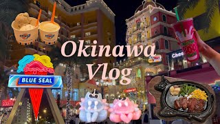 【沖縄Vlog】0歳ベビーとの初旅行で遊び尽くした1日