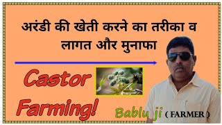 अरंडी की खेती || अरंडी की खेती कैसे करें  || Castor farming ||  How To Start Castor Farming