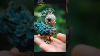 Beautiful bird in the world. #youtube #beautiful #short #viral