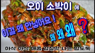 엄마손맛 그대로 🥒아삭 아삭 🌶매콤하고 감칠맛나는 🥒오이 소박이 3종류_맛있게 만드는 법 대공개 / 여니스 _쿡