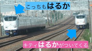 抜けない！はるかが付いてくる、はるか同士がすれ違う